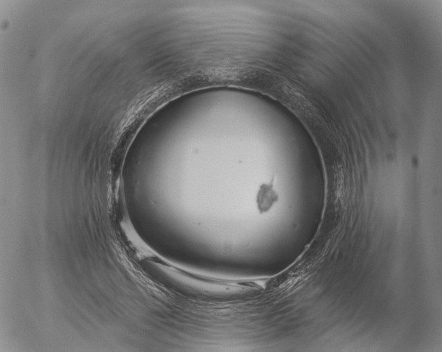 X0000057090494200509161633