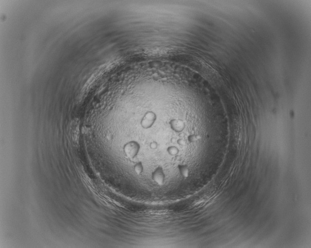 X0000057090495200509161633