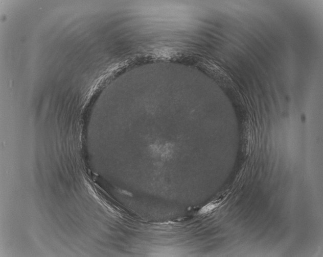 X0000057090496200509161633