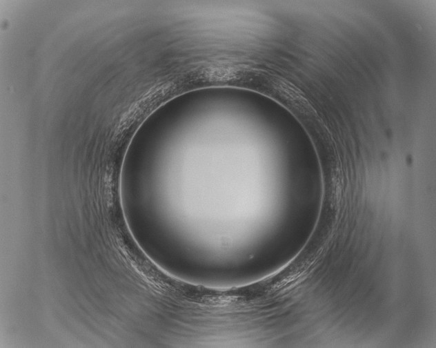 X0000057090497200509161633