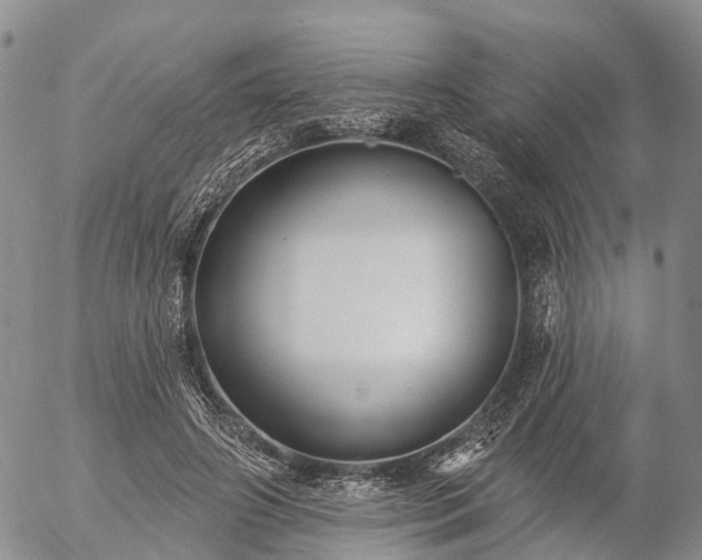 X0000057090498200509161633