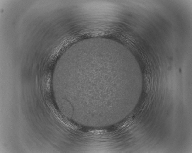 X0000057090499200509161633