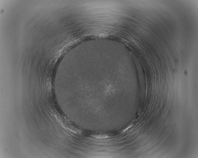 X0000057090500200509161633