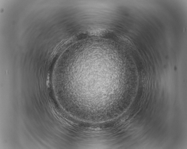 X0000057090502200509161633