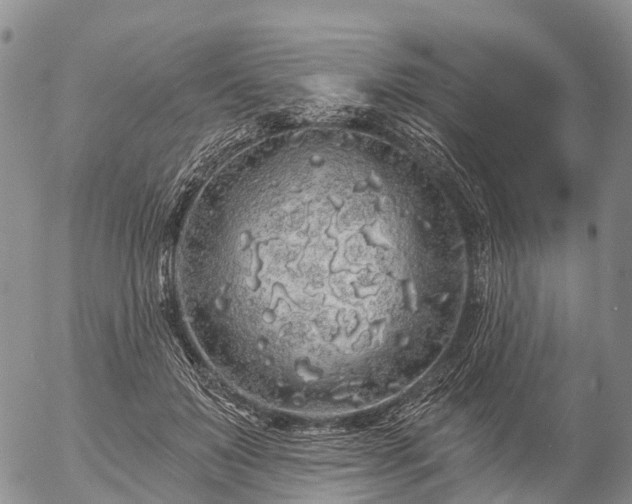 X0000057090503200509161633