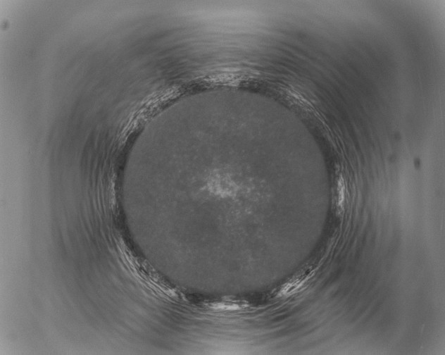 X0000057090504200509161633