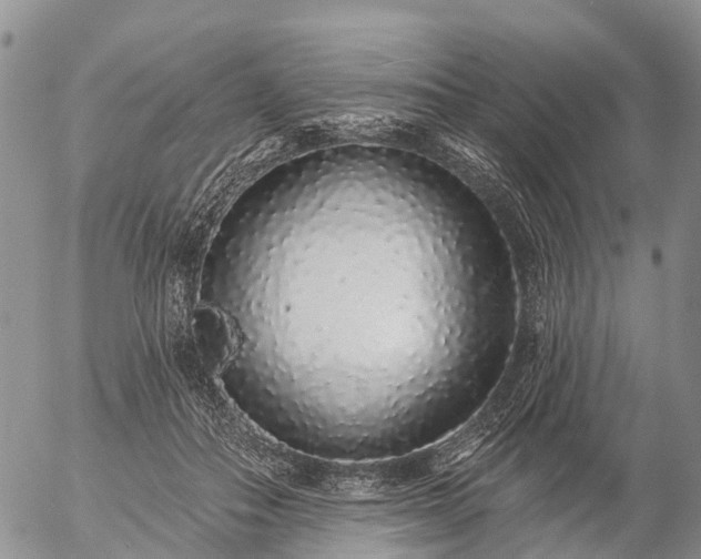 X0000057090506200509161633