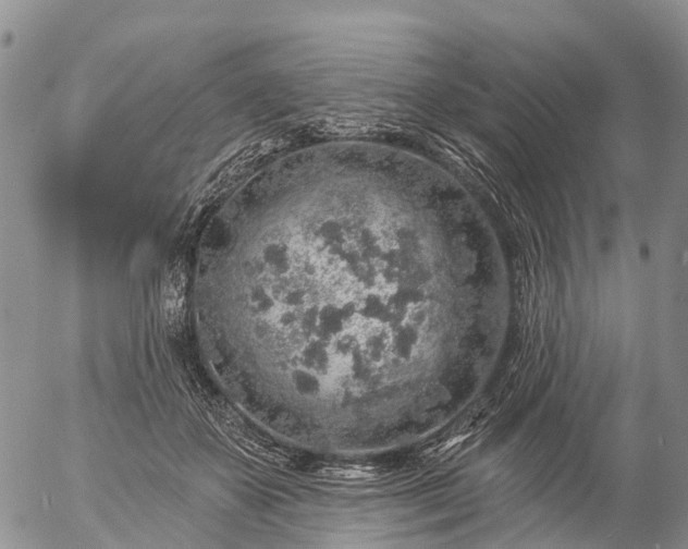 X0000057090507200509161633