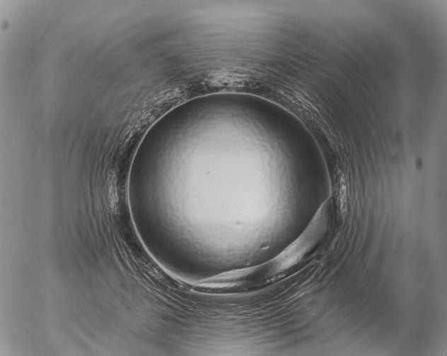 X0000057090508200509161633