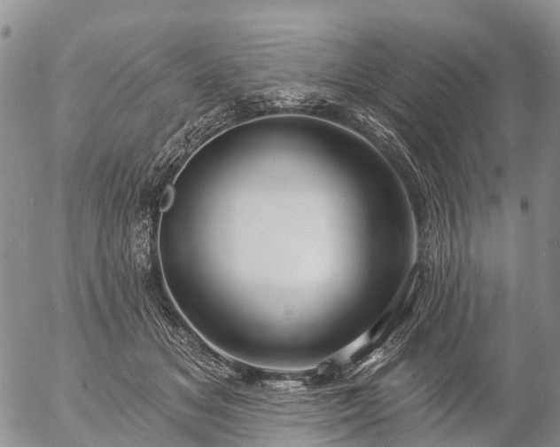 X0000057090509200509161633