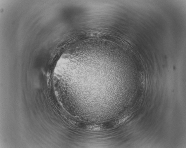 X0000057090511200509161633