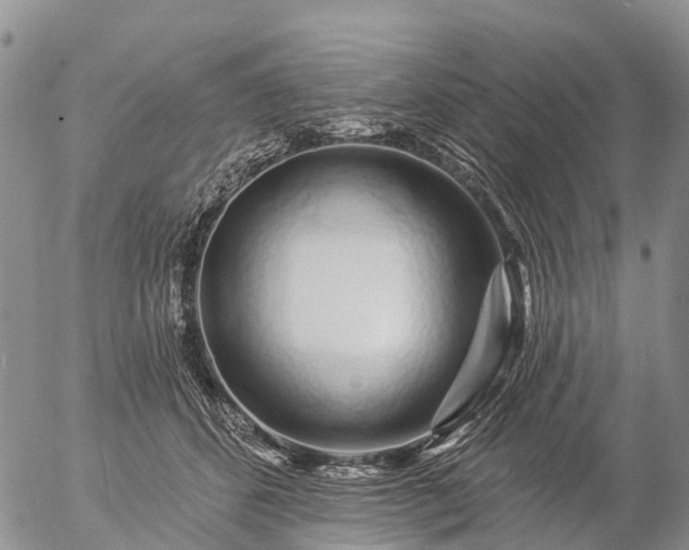 X0000057090512200509161633