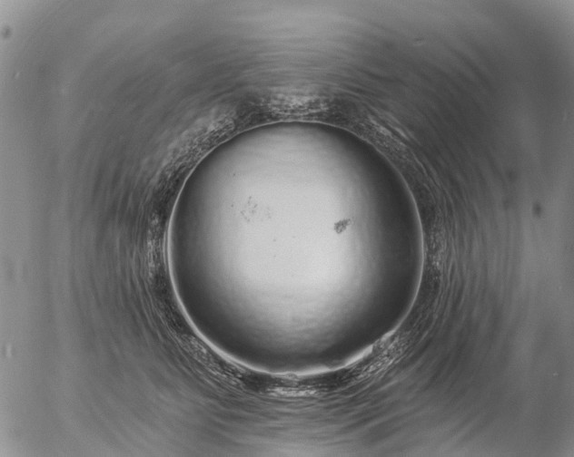 X0000057090515200509161633