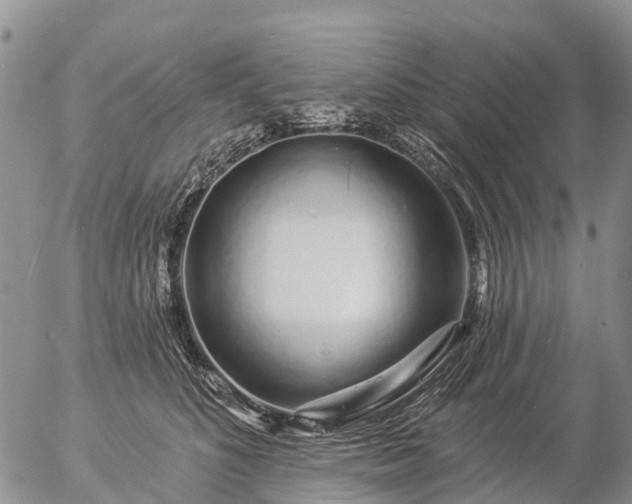 X0000057090516200509161633