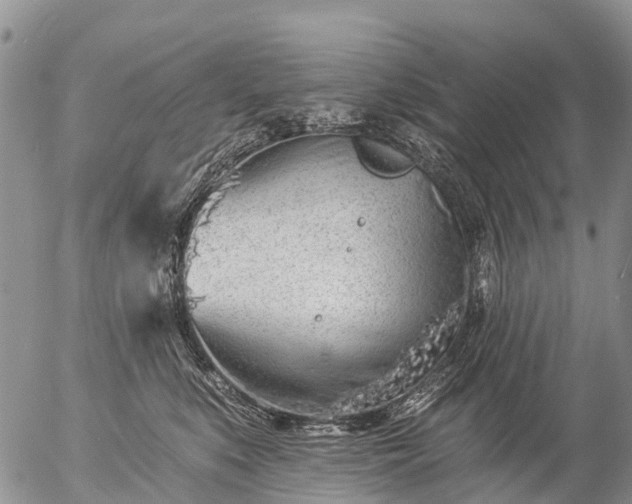 X0000057090519200509161632