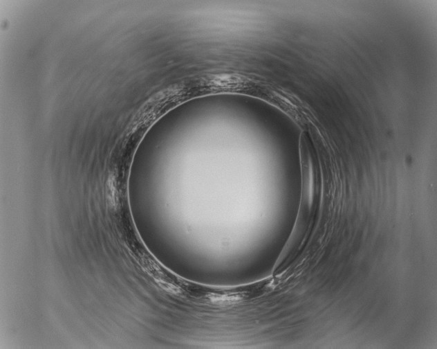 X0000057090520200509161632