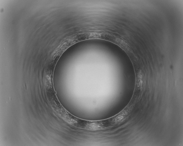 X0000057090522200509161632