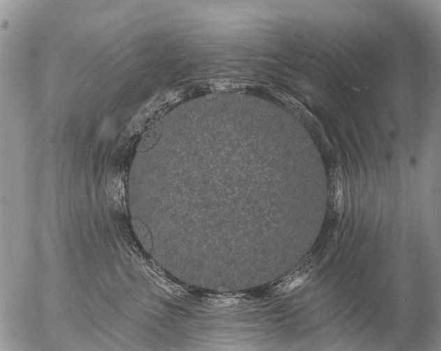 X0000057090523200509161632