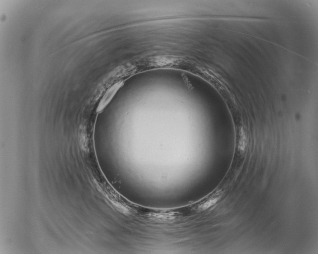 X0000057090524200509161632