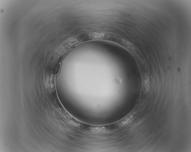 X0000057090525200509161632