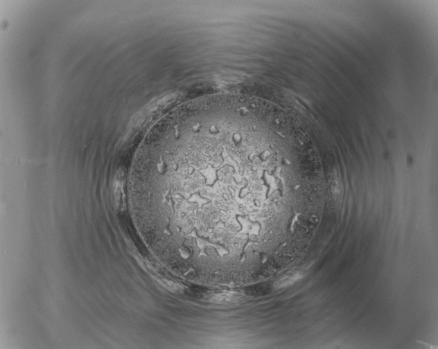 X0000057090527200509161632