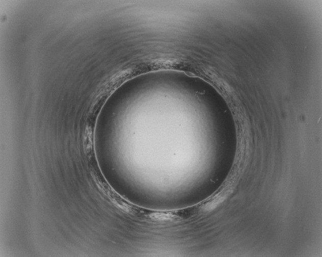 X0000057090528200509161632