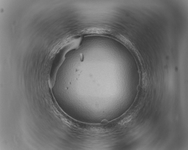 X0000057090529200509161632