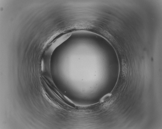 X0000057090530200509161632