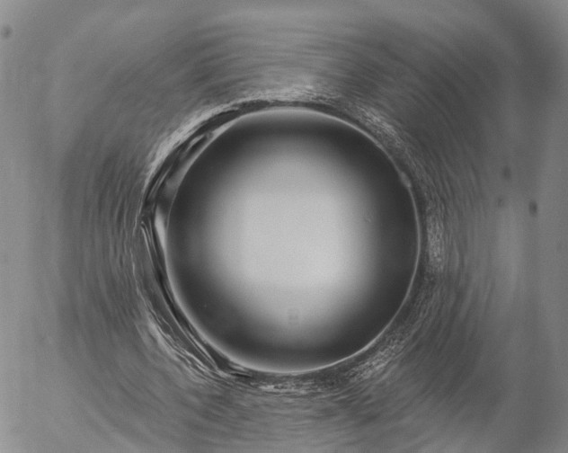 X0000057090532200509161632