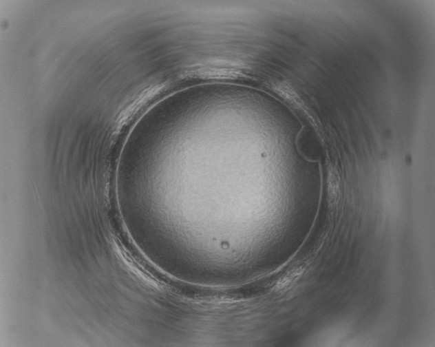 X0000057090533200509161632