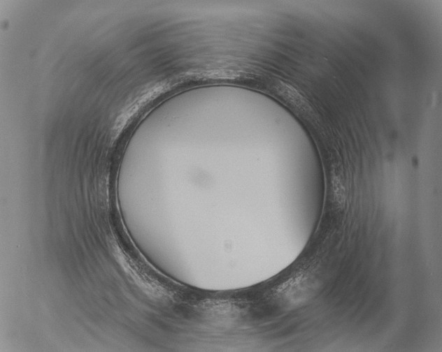 X0000057090534200509161632