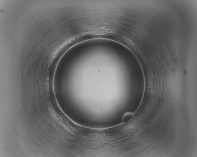 X0000057090535200509161632