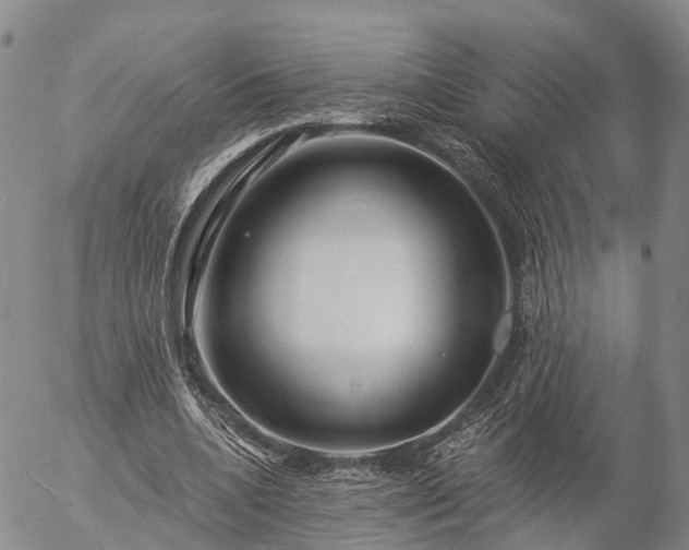 X0000057090536200509161632