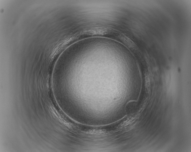 X0000057090537200509161632