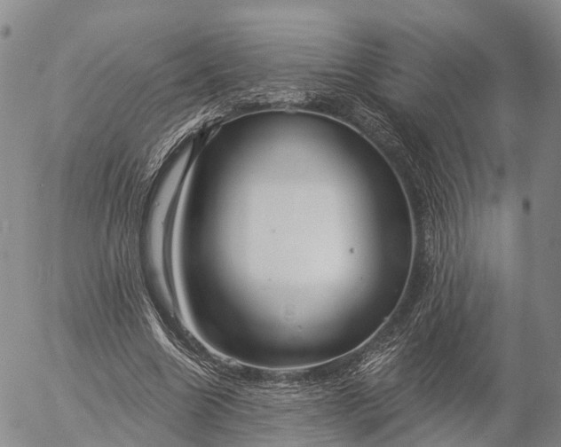 X0000057090538200509161632