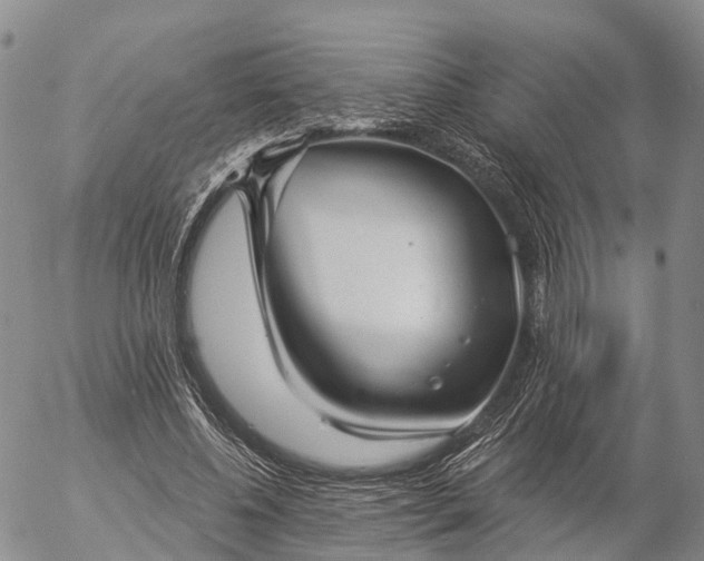 X0000057090540200509161632