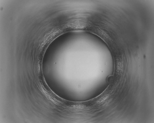 X0000057090541200509161632