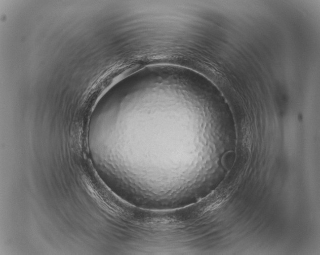 X0000057090542200509161632