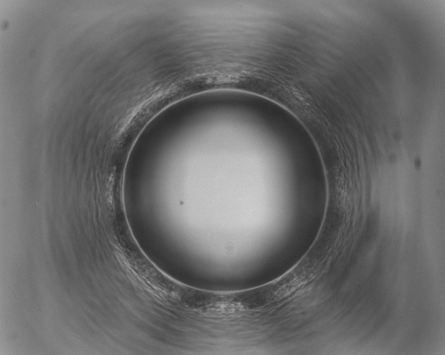 X0000057090543200509161632