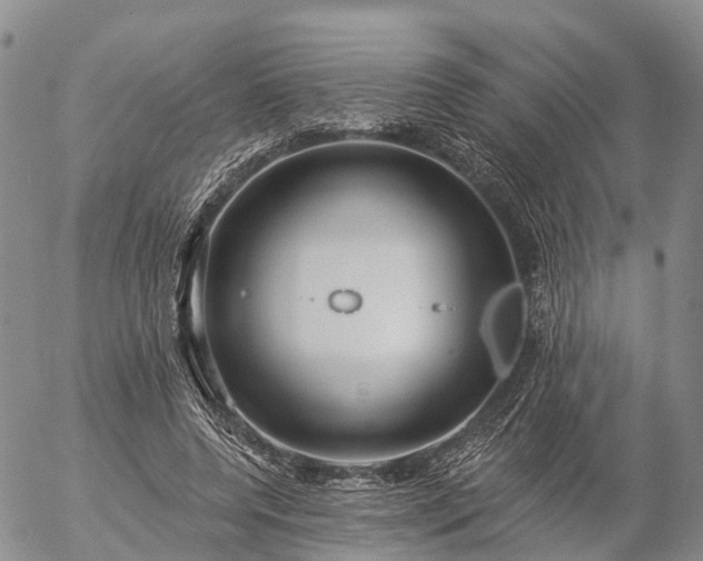 X0000057090544200509161632