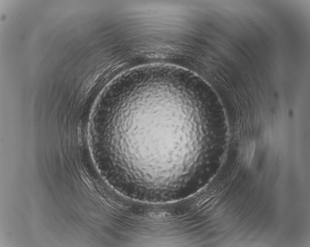 X0000057090547200509161632