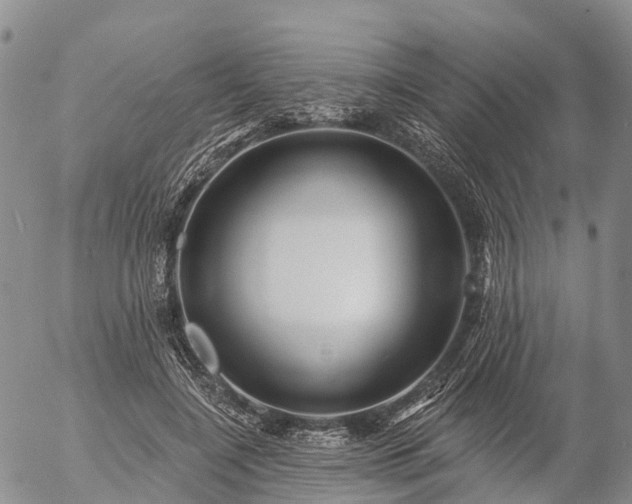 X0000057090548200509161632