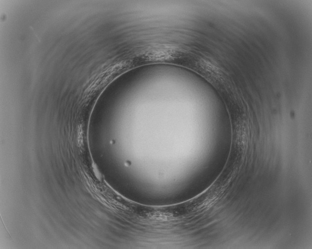 X0000057090549200509161632