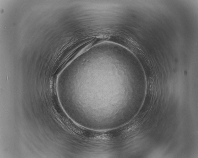 X0000057090550200509161632