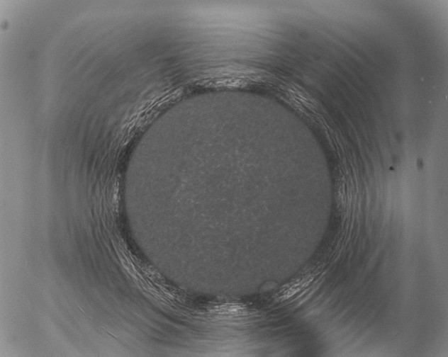 X0000057090551200509161632