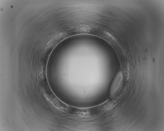 X0000057090552200509161632