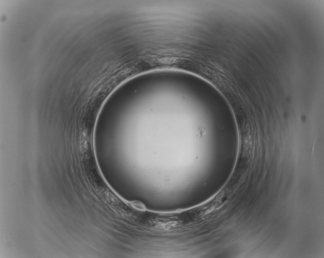 X0000057090555200509161632