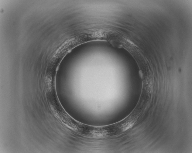 X0000057090556200509161632