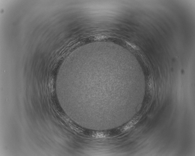 X0000057090565200509161632