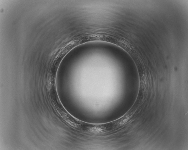 X0000057090566200509161632